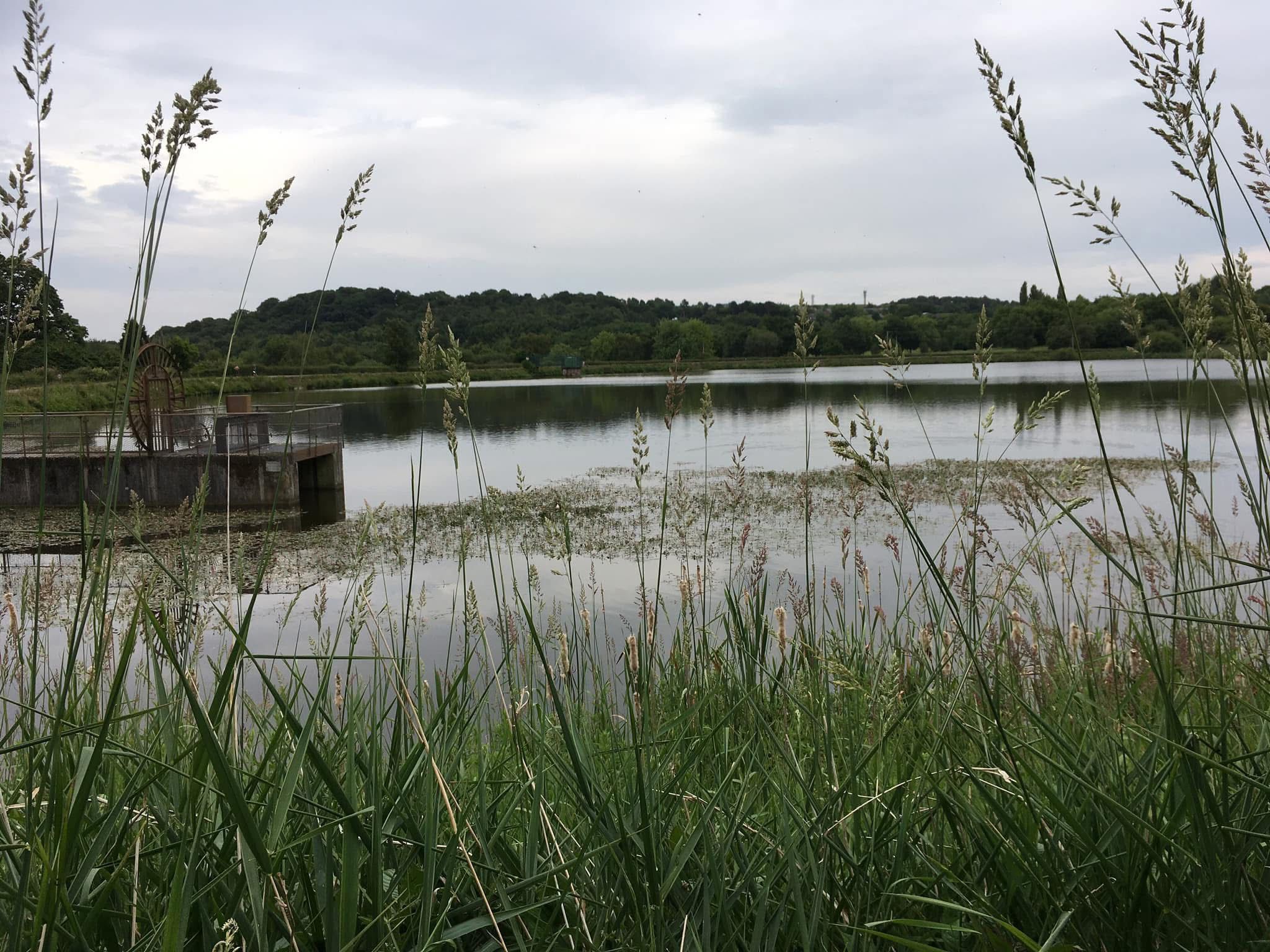 Appleton Reservoir photo 9