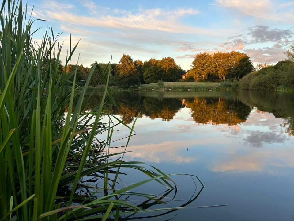 Cicely Mill Pool photo 3