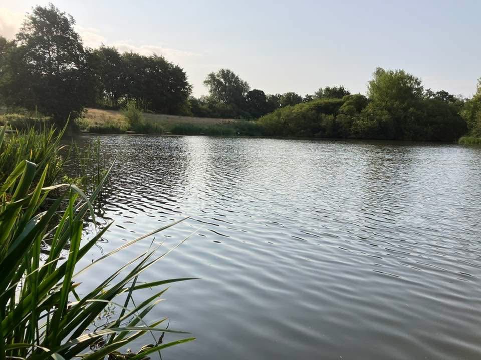 Cicely Mill Pool photo 5