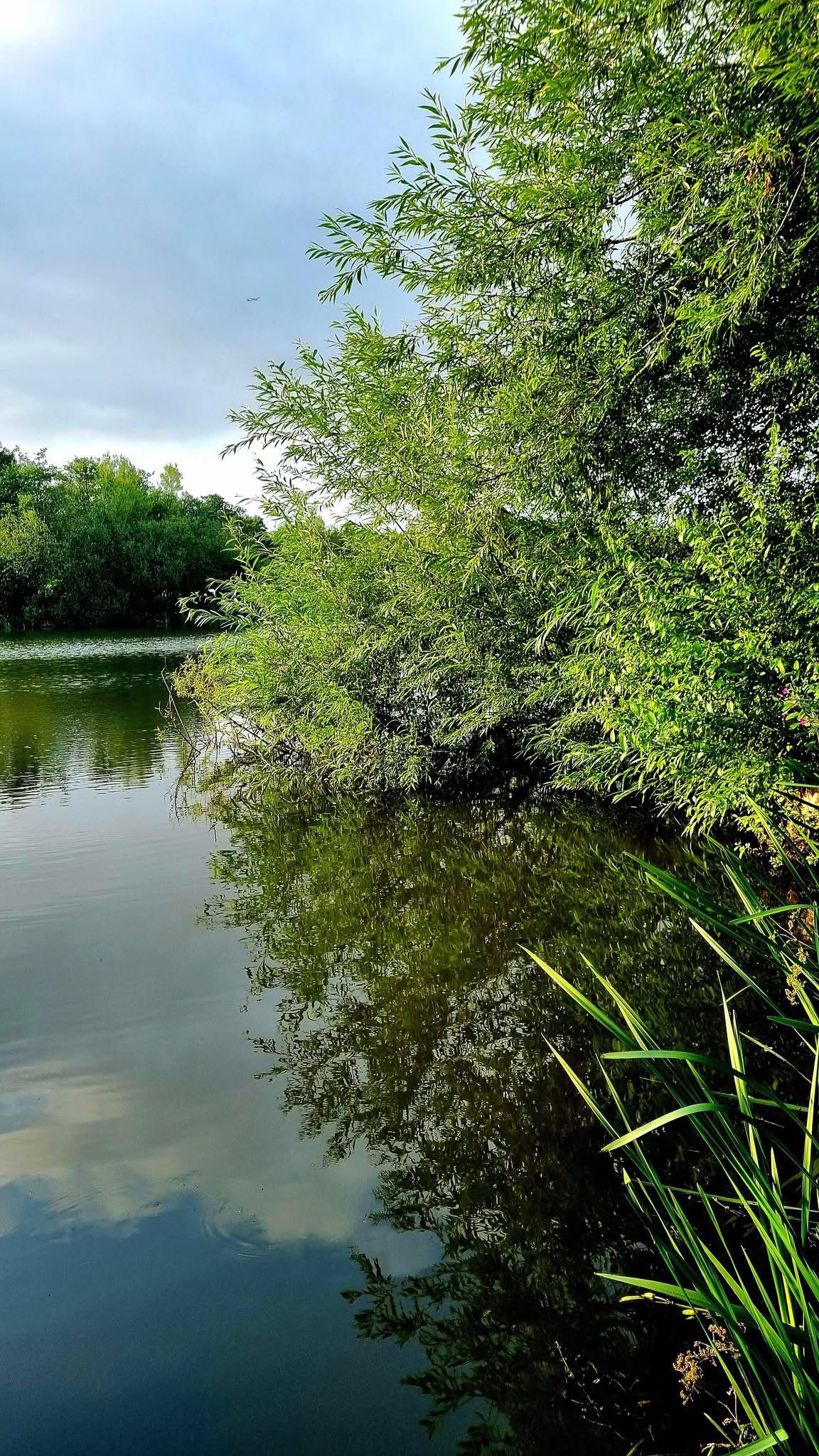 Cicely Mill Pool photo 6