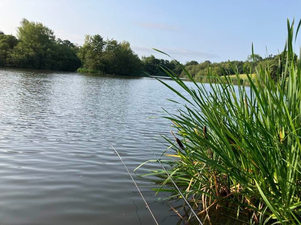 Cicely Mill Pool photo 7