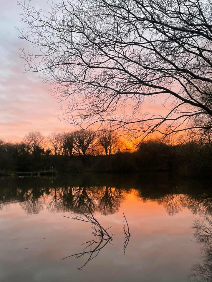 Rixton Clay Pits photo 3