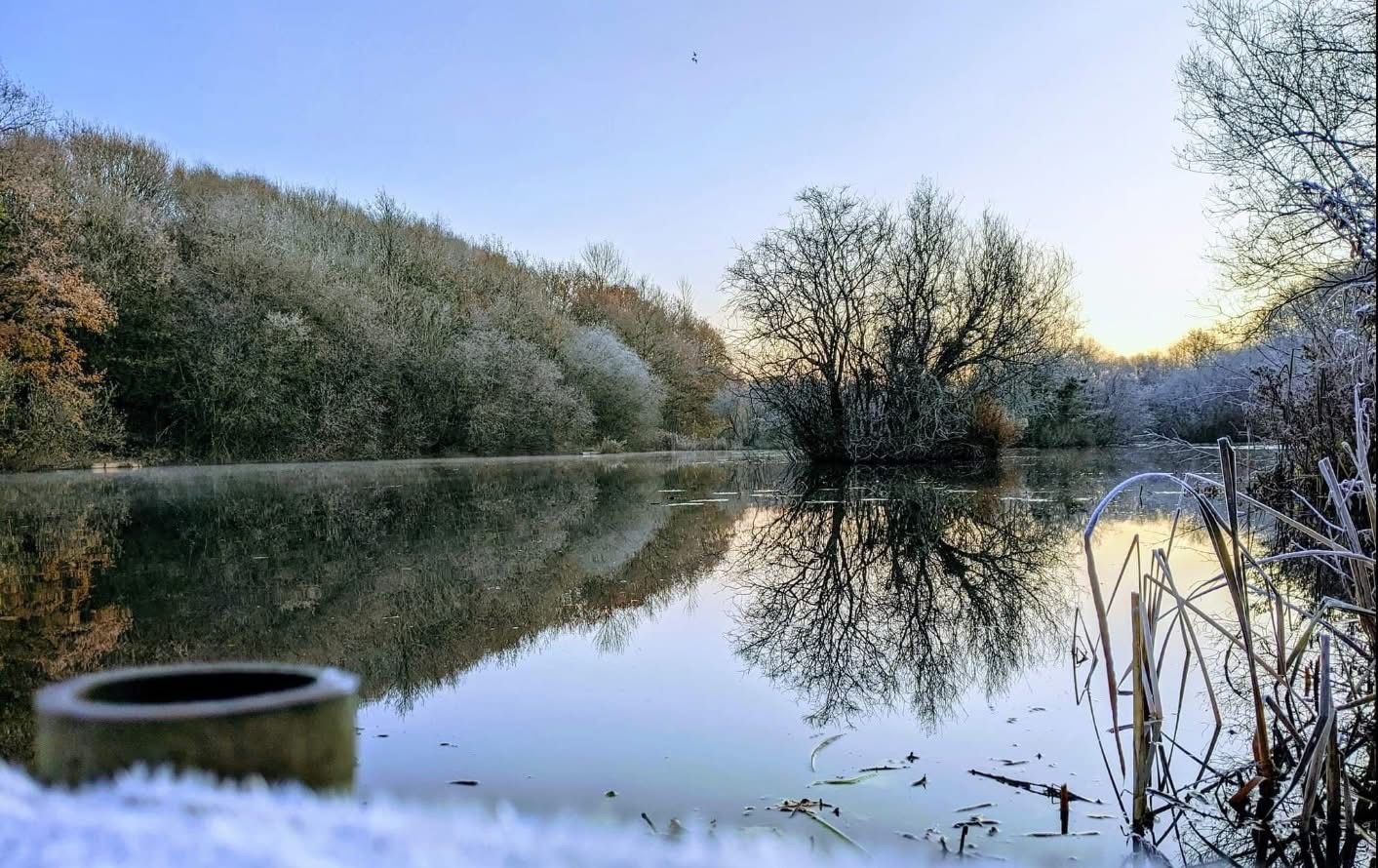 Rixton Clay Pits photo 4