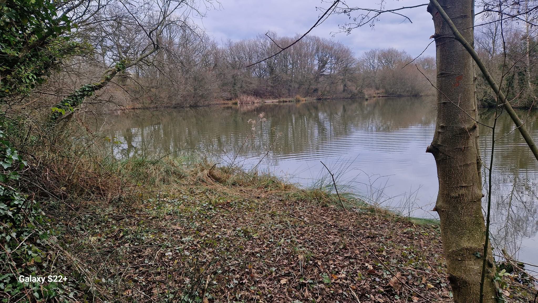 Rixton Clay Pits photo 5