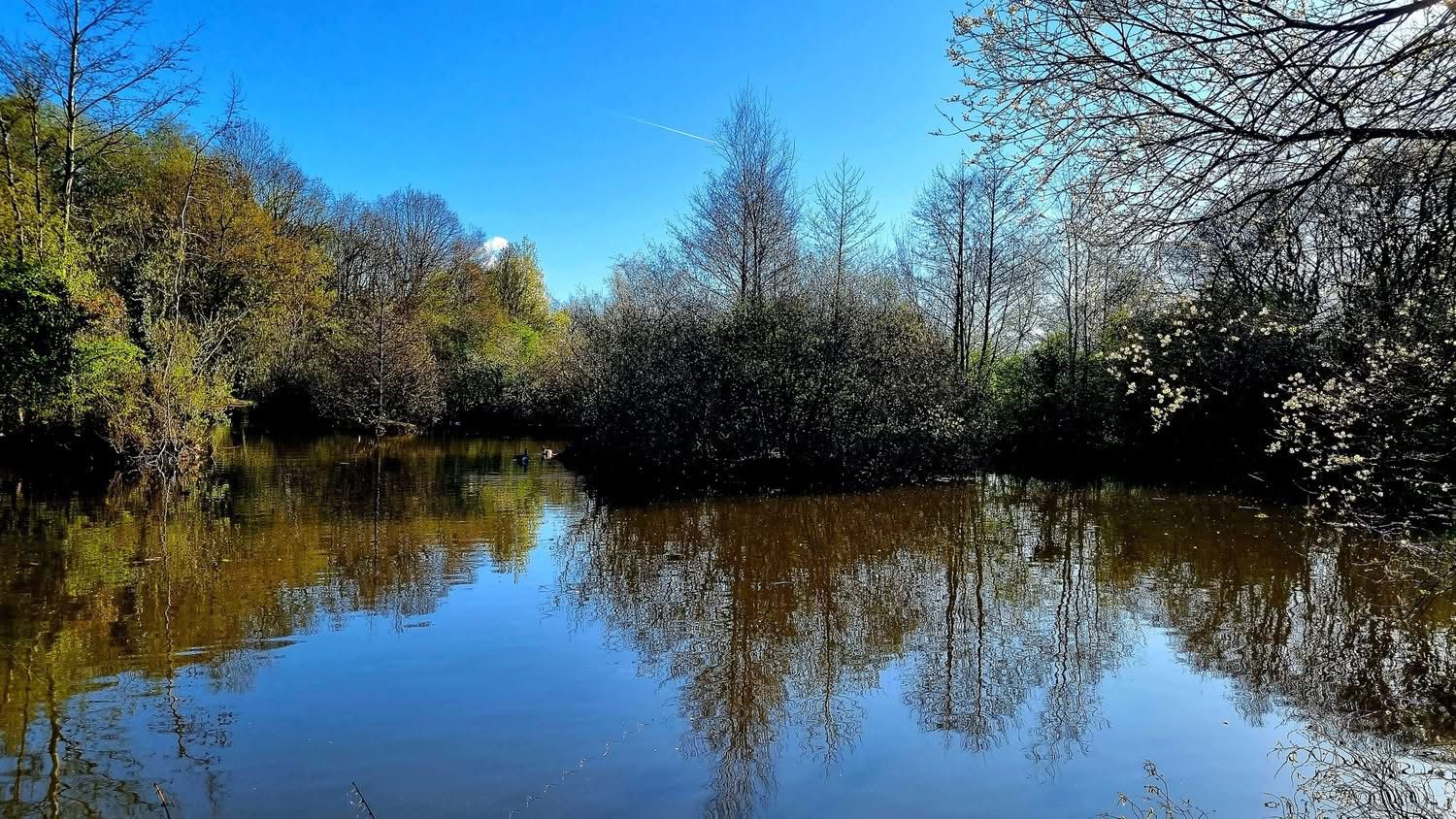 Rixton Clay Pits photo 6