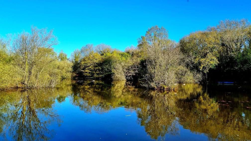 Rixton Clay Pits photo 8