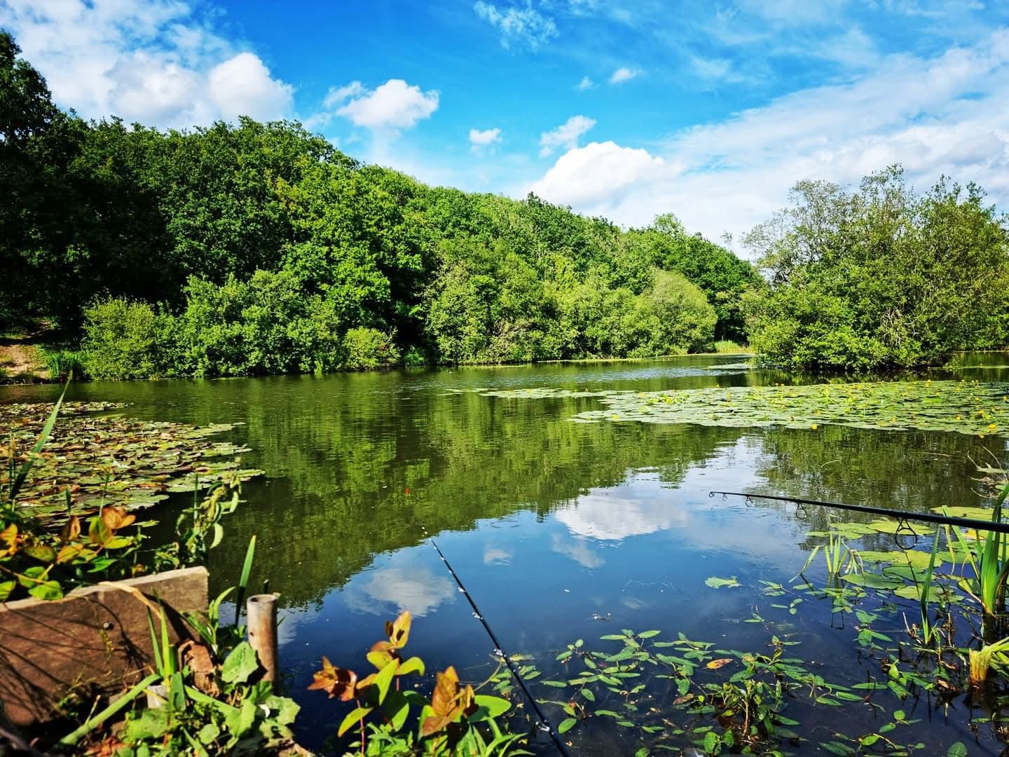 Rixton Clay Pits photo 9