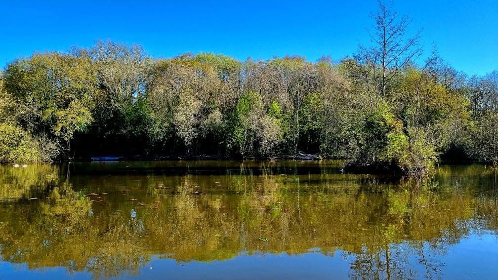 Rixton Clay Pits photo 11
