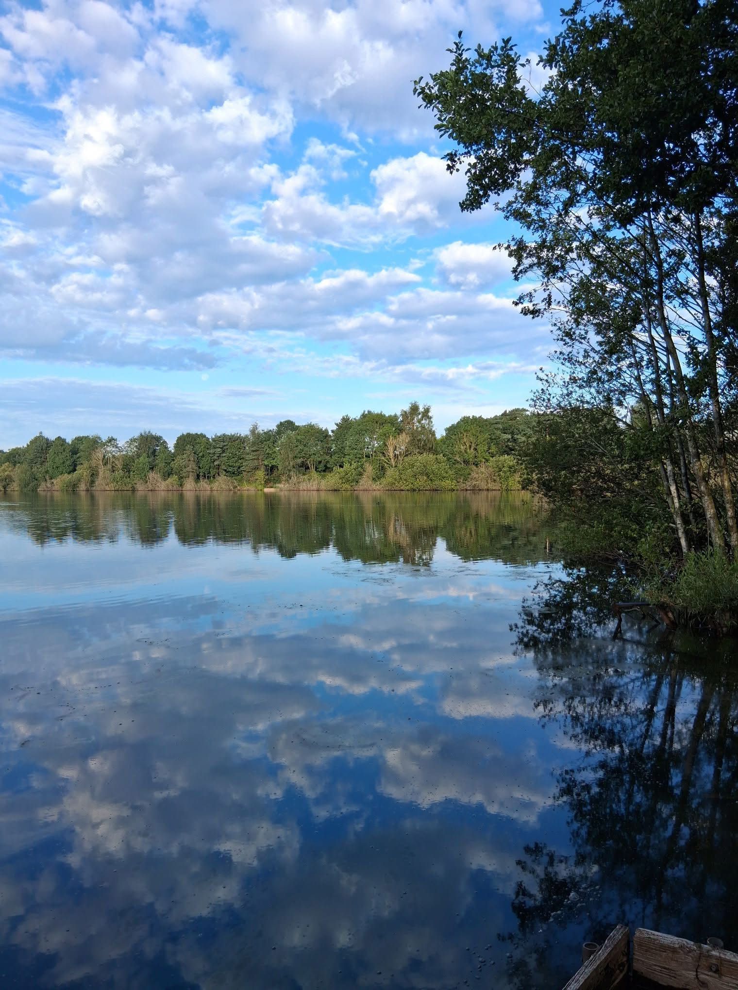 Big Sandiway photo 3