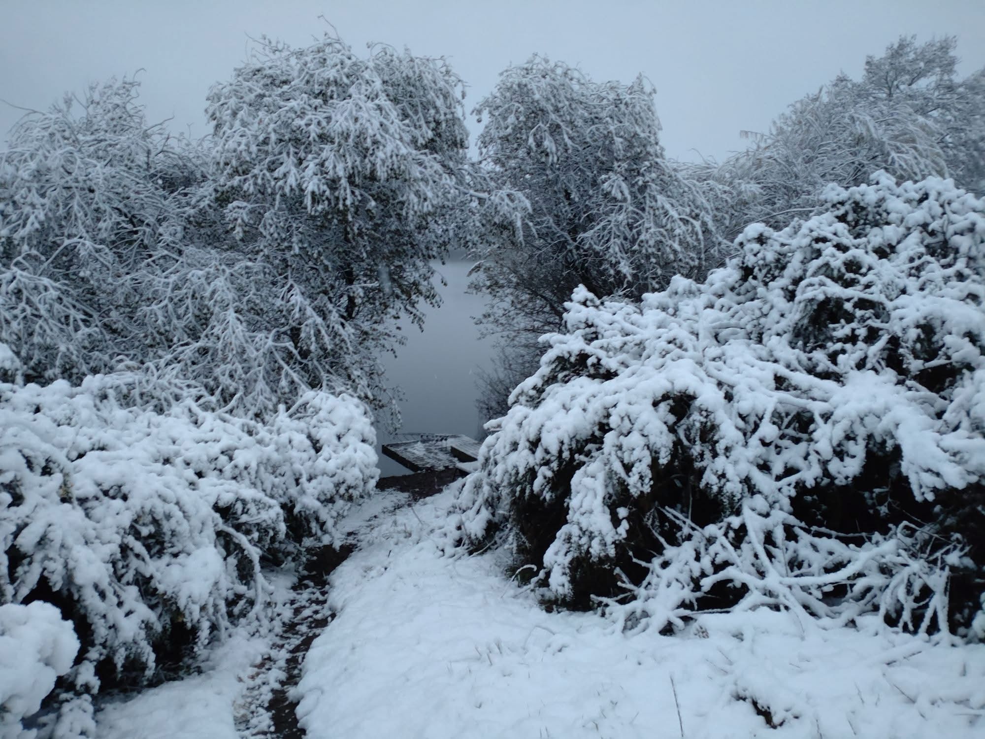 Big Sandiway photo 5