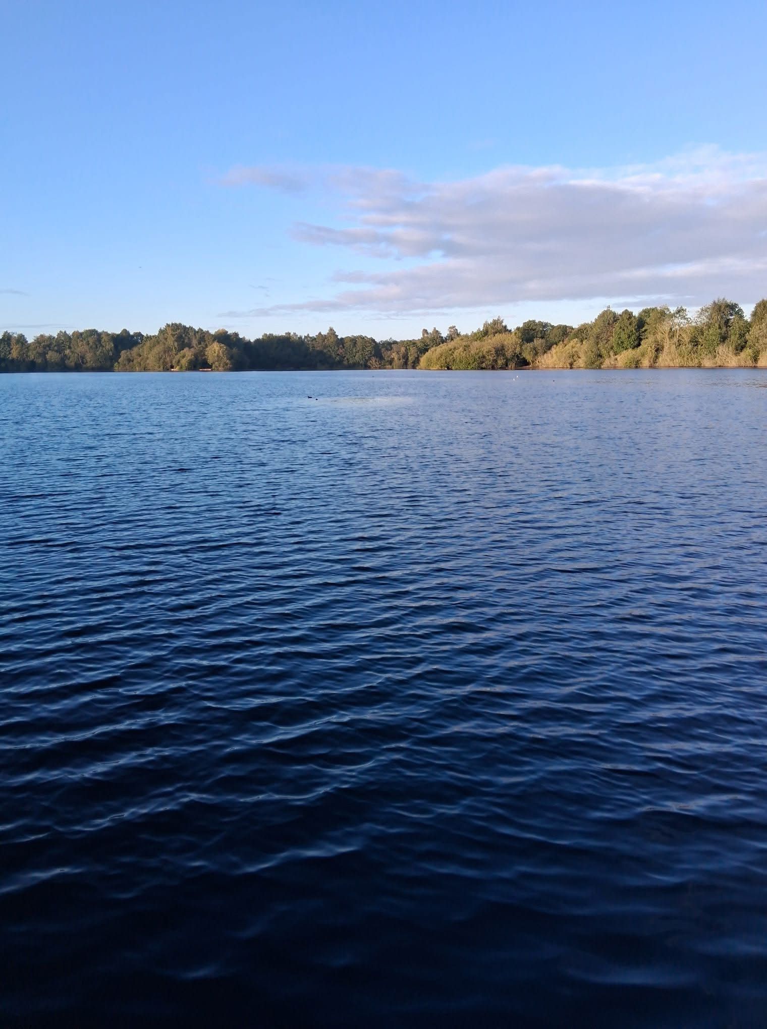 Big Sandiway photo 6