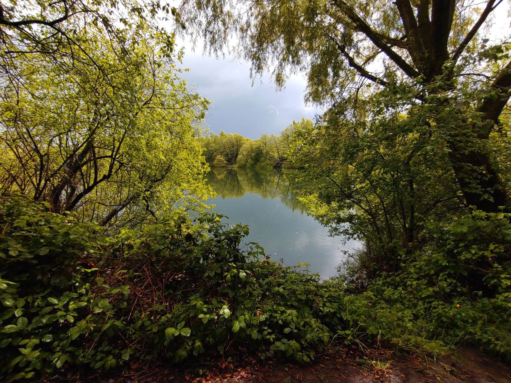 Big Sandiway photo 8