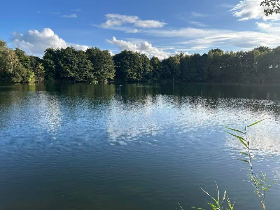  Moore Quarry photo 7