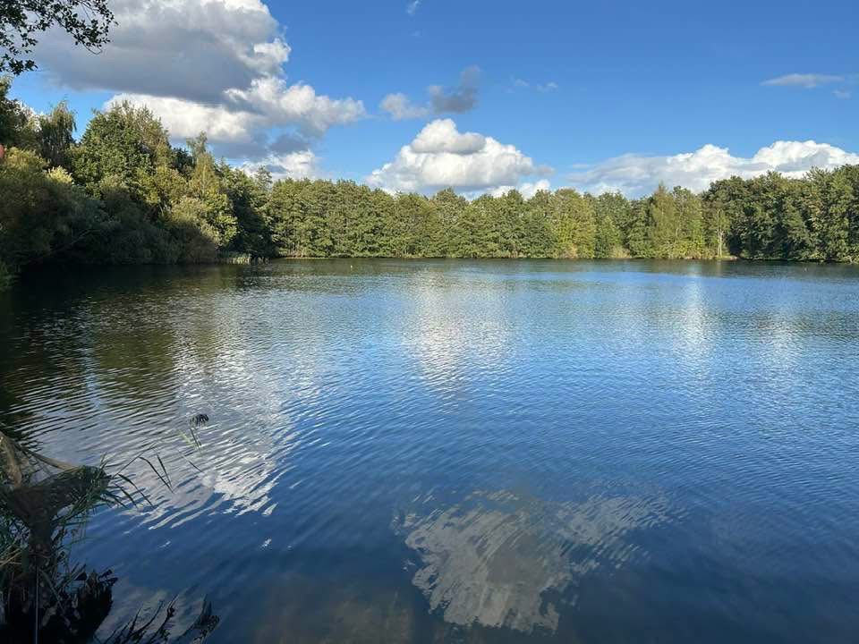  Moore Quarry photo 8