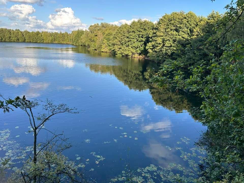  Moore Quarry photo 9