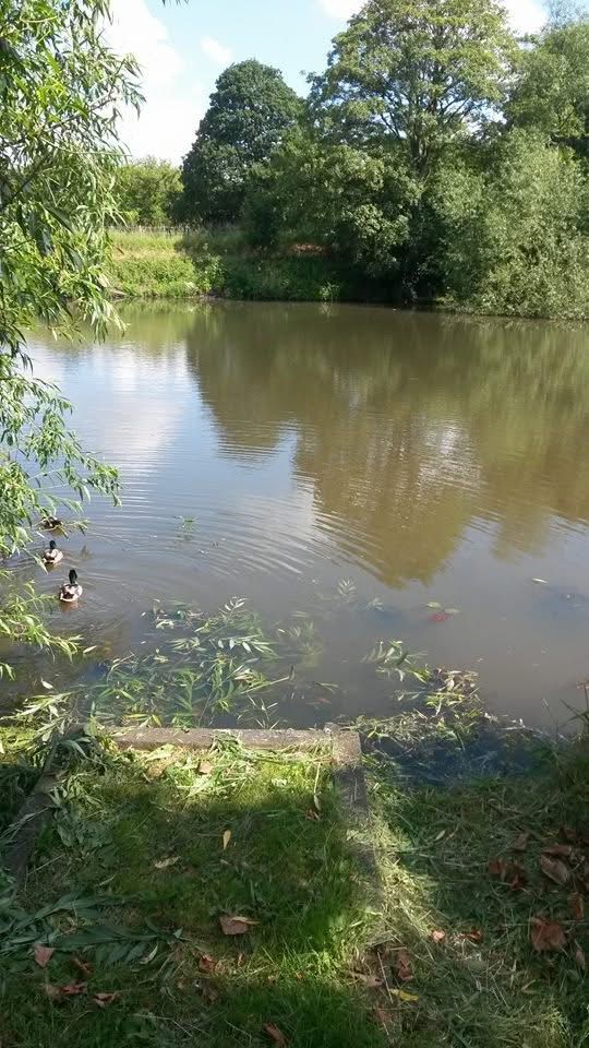  Statham Pool photo 3