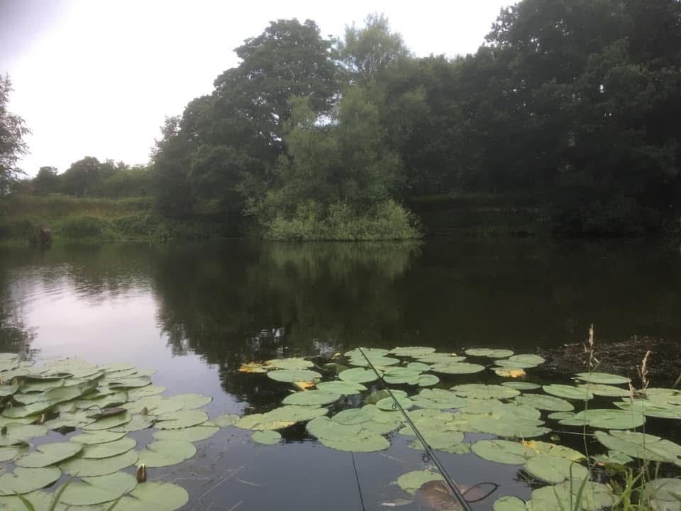  Statham Pool photo 5