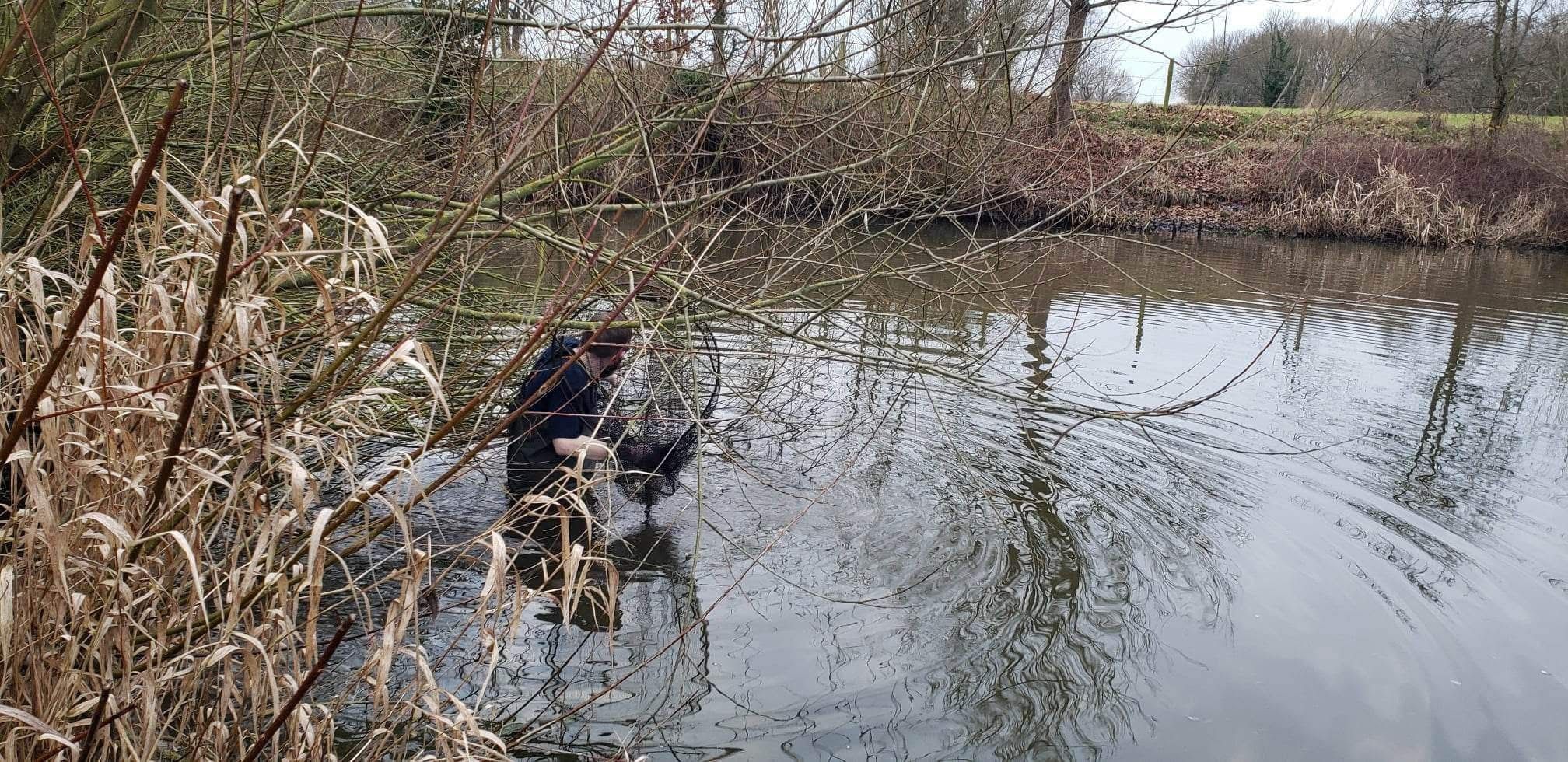  Statham Pool photo 6