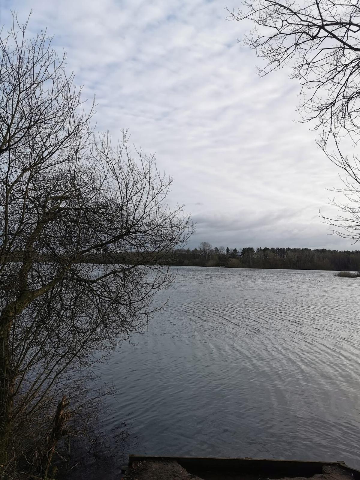 Small Sandiway photo 4