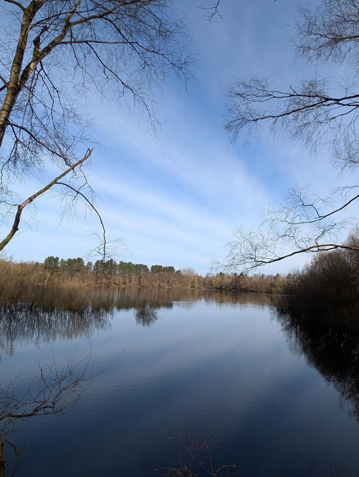 Small Sandiway photo 5