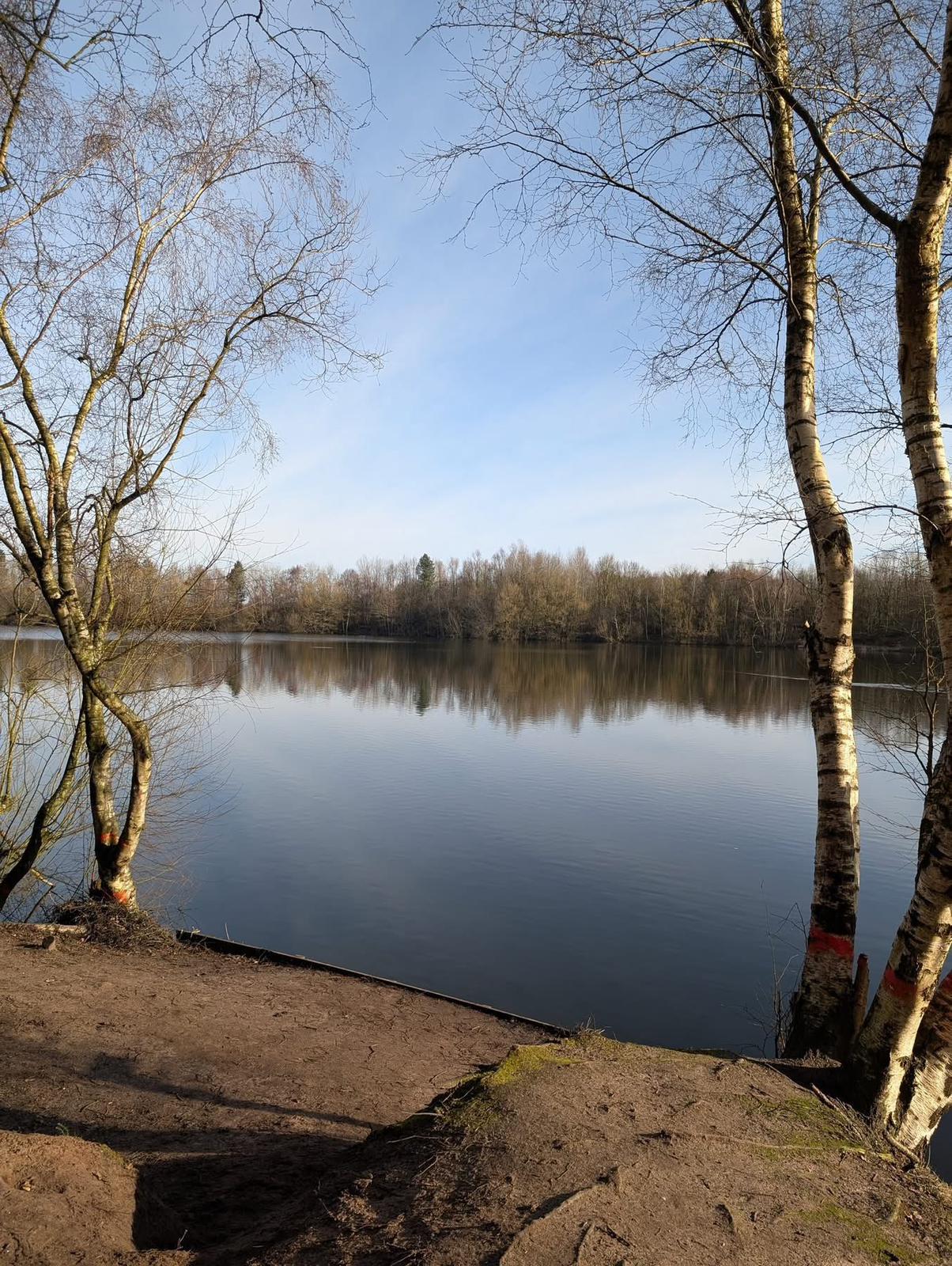 Small Sandiway photo 7