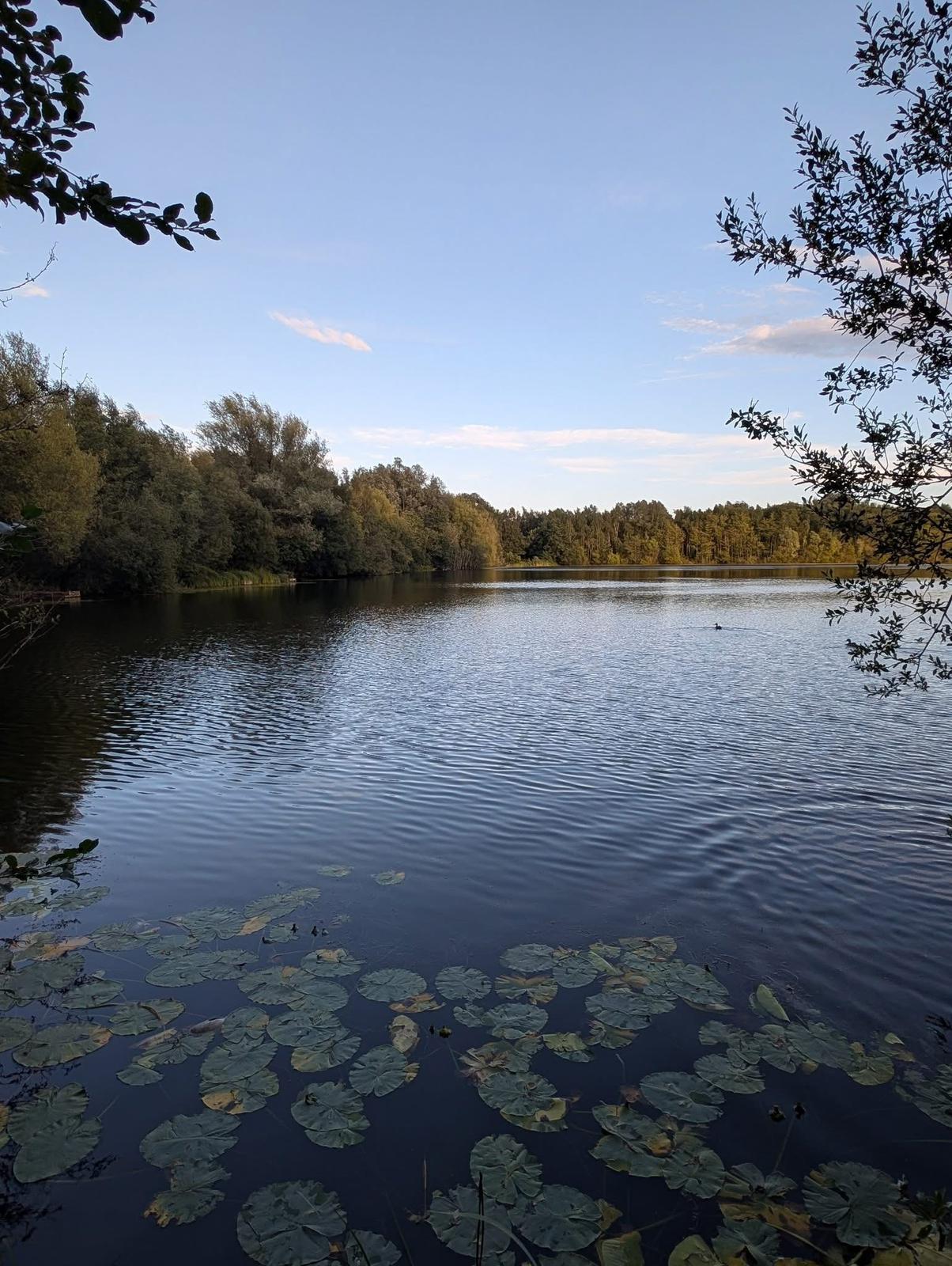 Small Sandiway photo 8