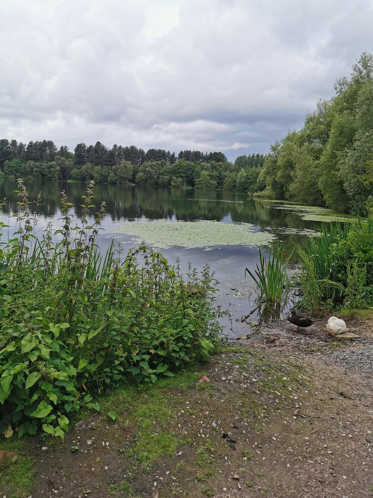 Small Sandiway photo 9