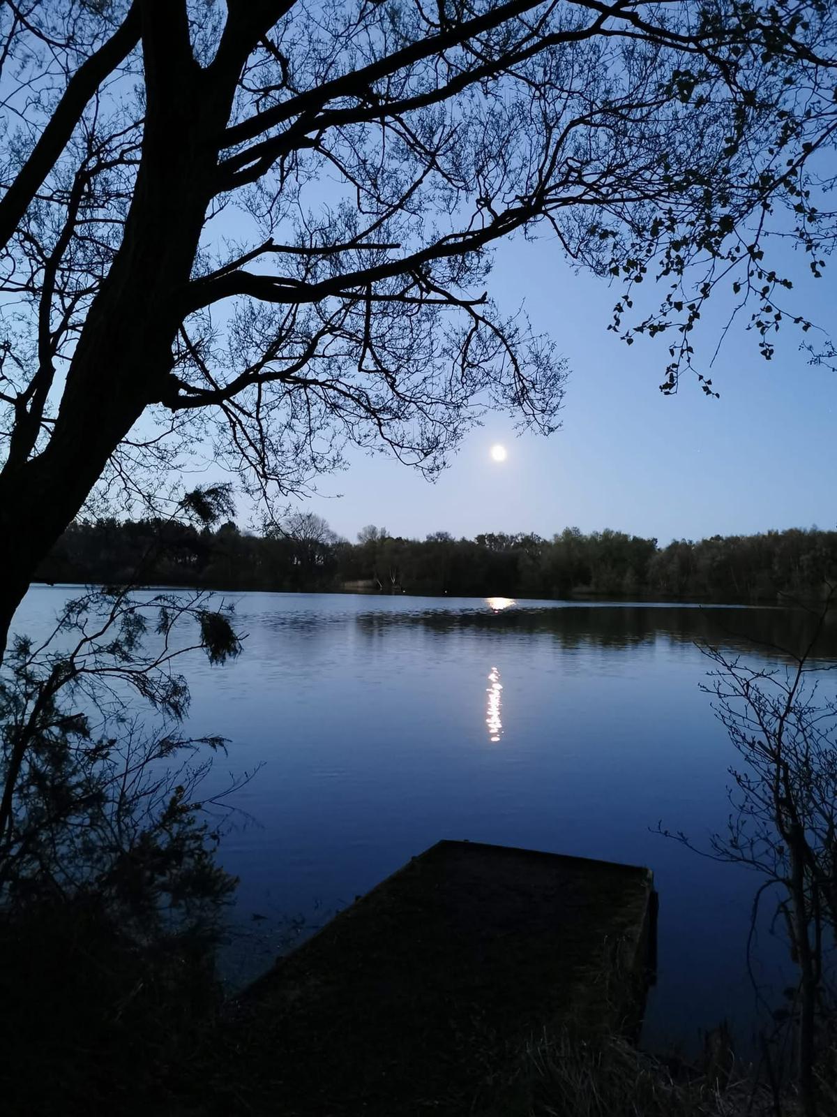 Small Sandiway photo 11