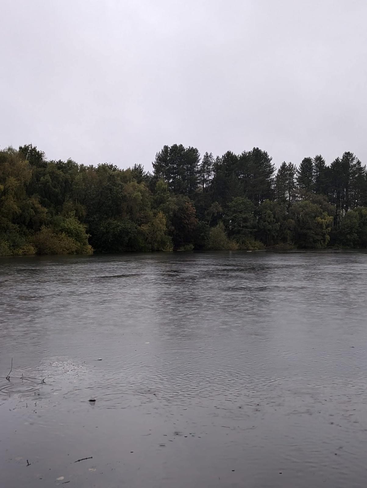 Small Sandiway photo 12