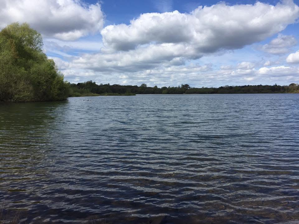 Small Sandiway photo 13