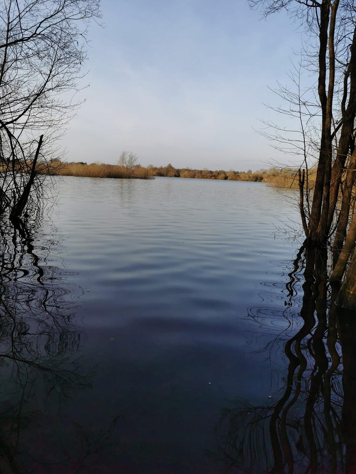 Small Sandiway photo 18