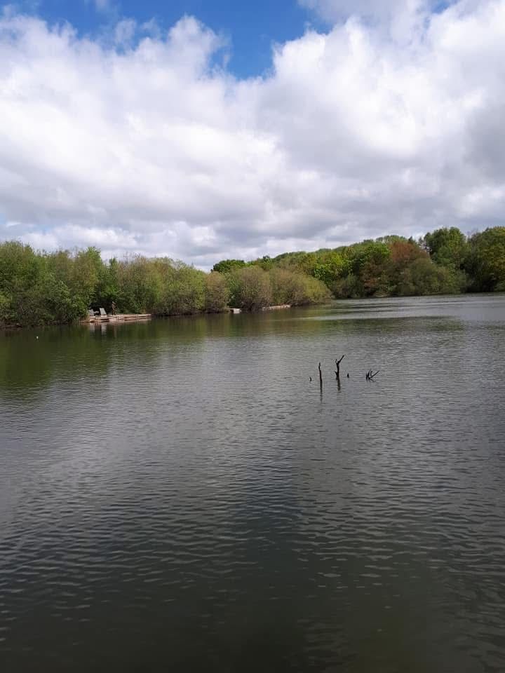  The Mount, Buckley photo 4