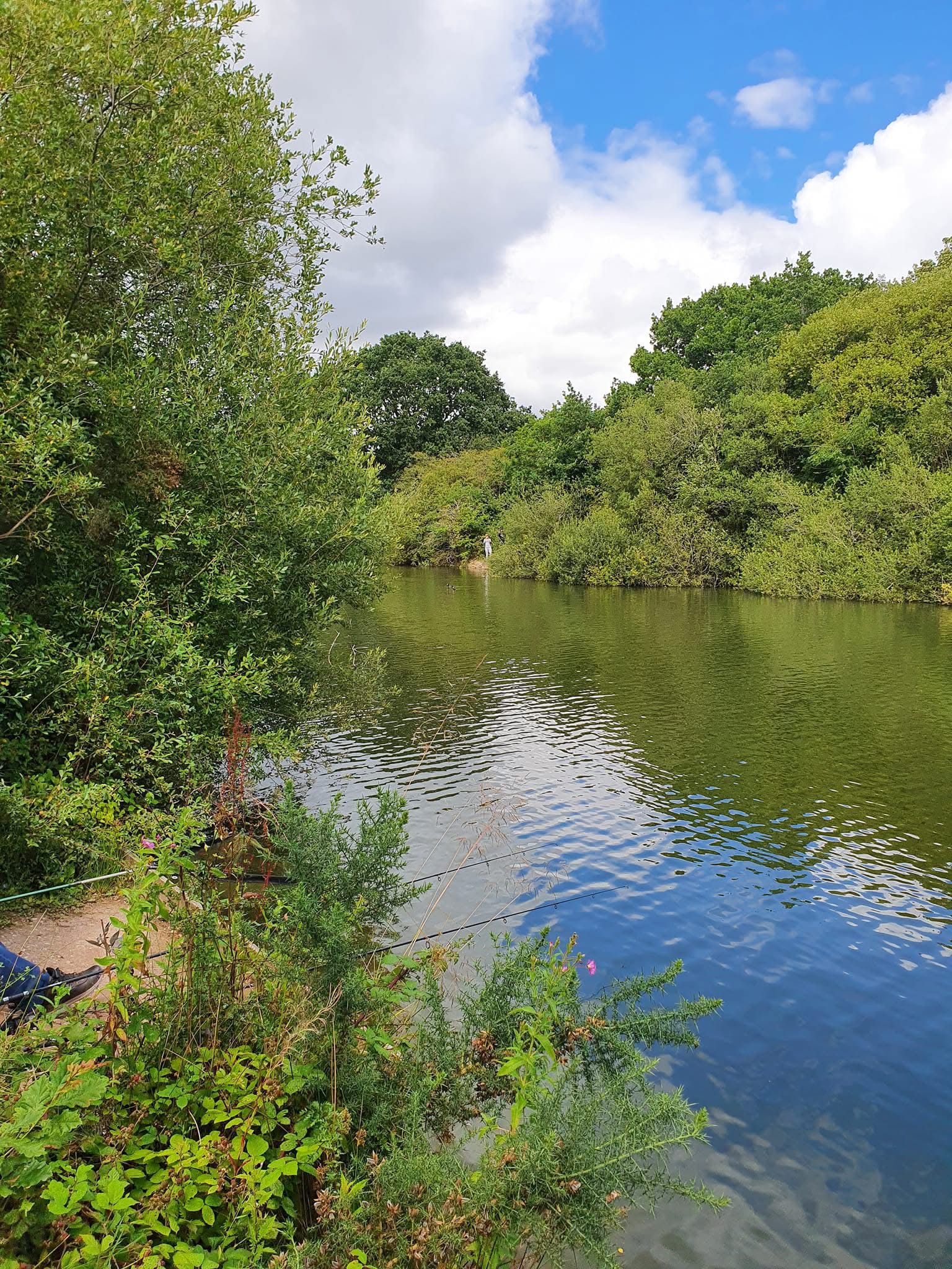  The Mount, Buckley photo 7