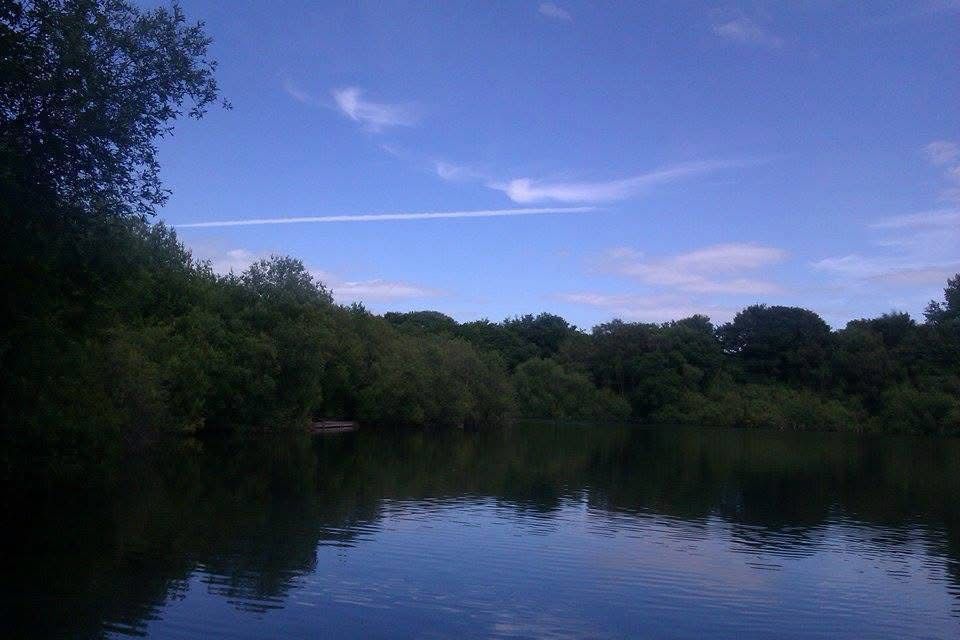  The Mount, Buckley photo 8