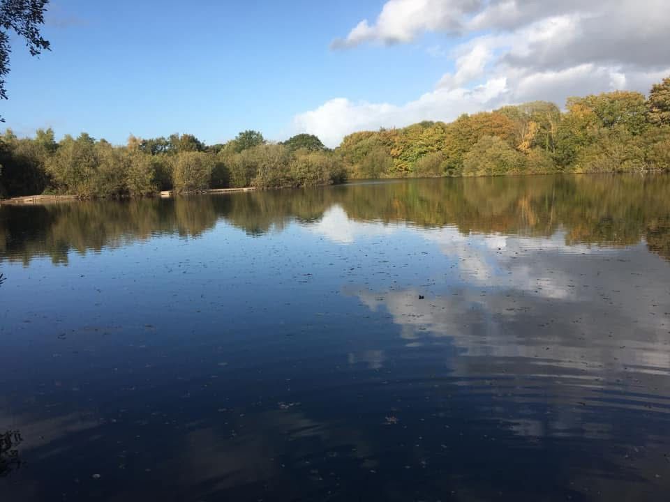  The Mount, Buckley photo 9