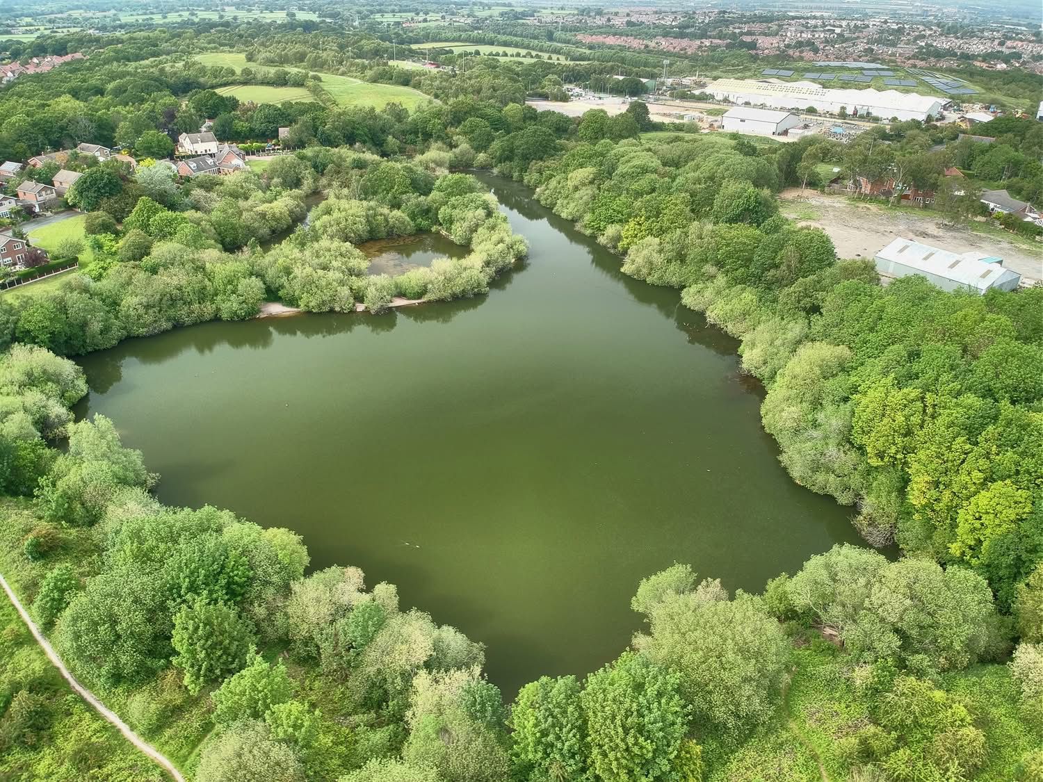  The Mount, Buckley photo 10