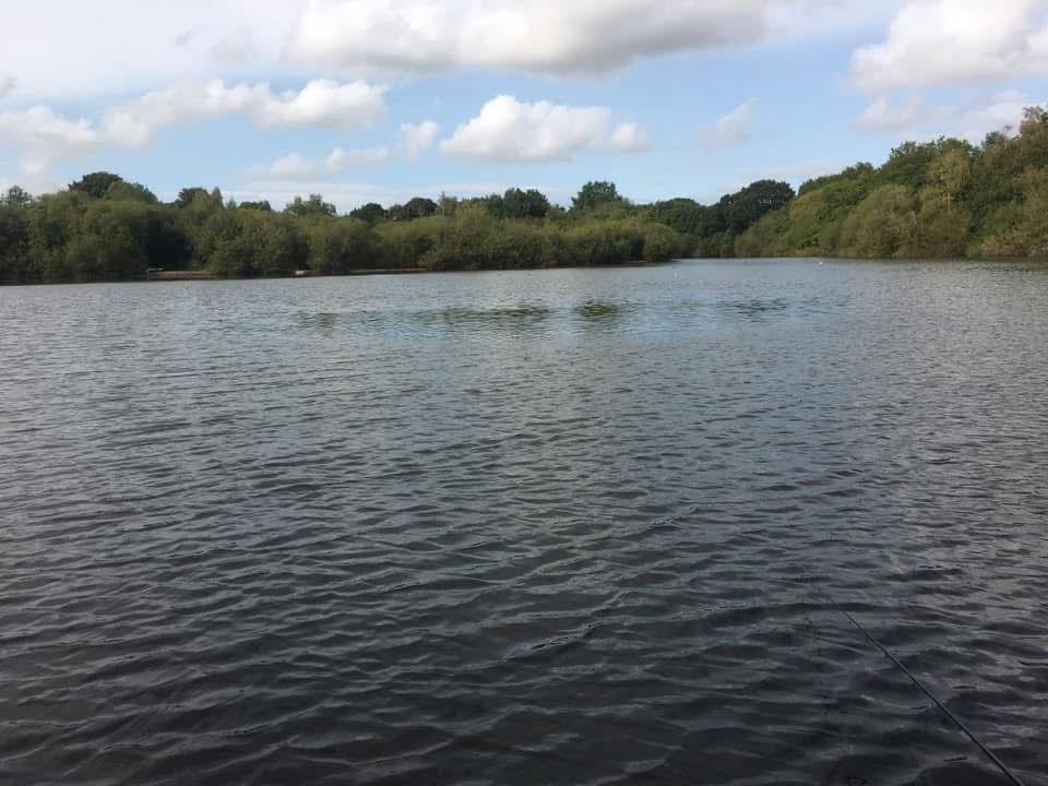  The Mount, Buckley photo 13