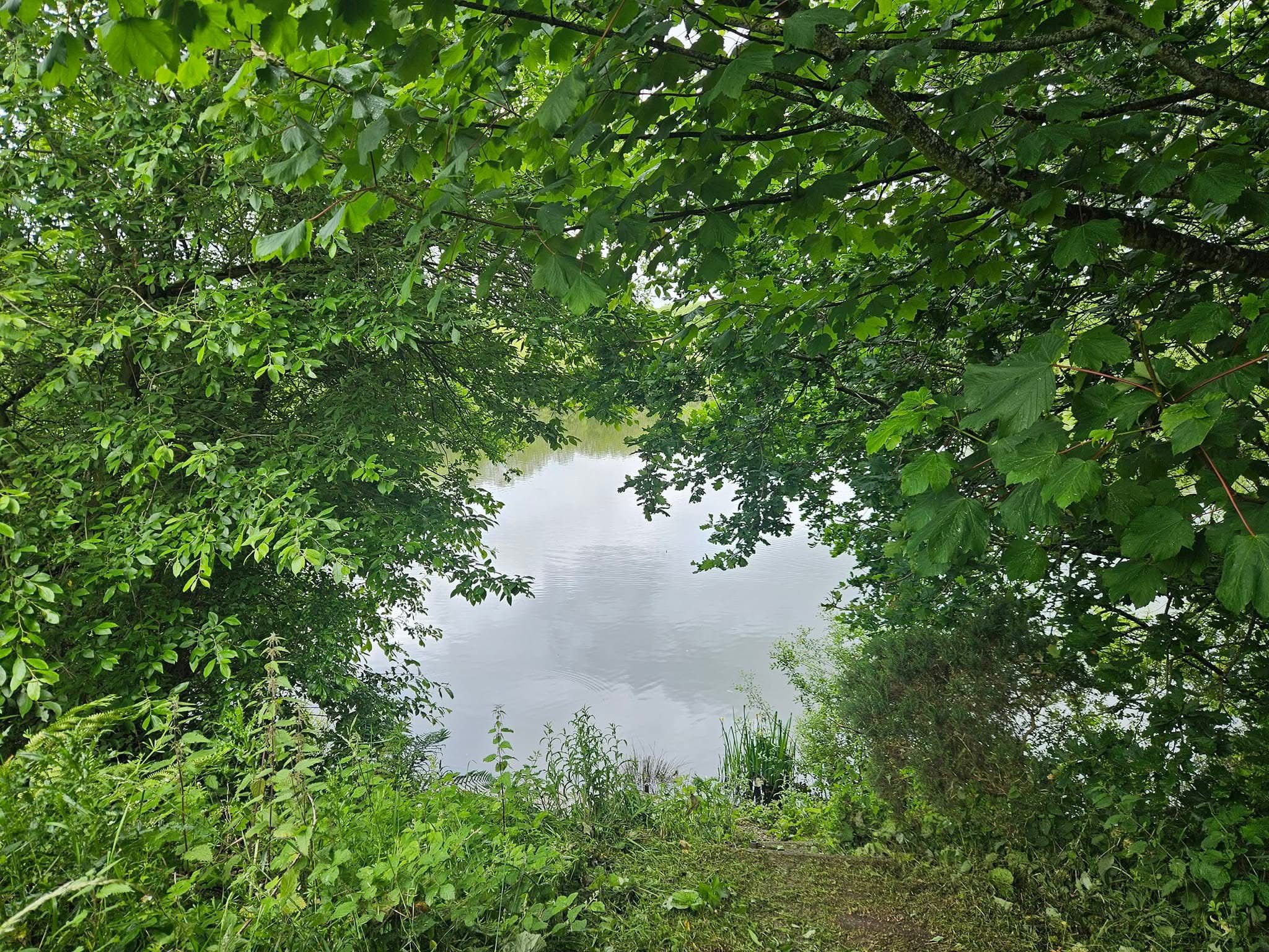  The Mount, Buckley photo 14