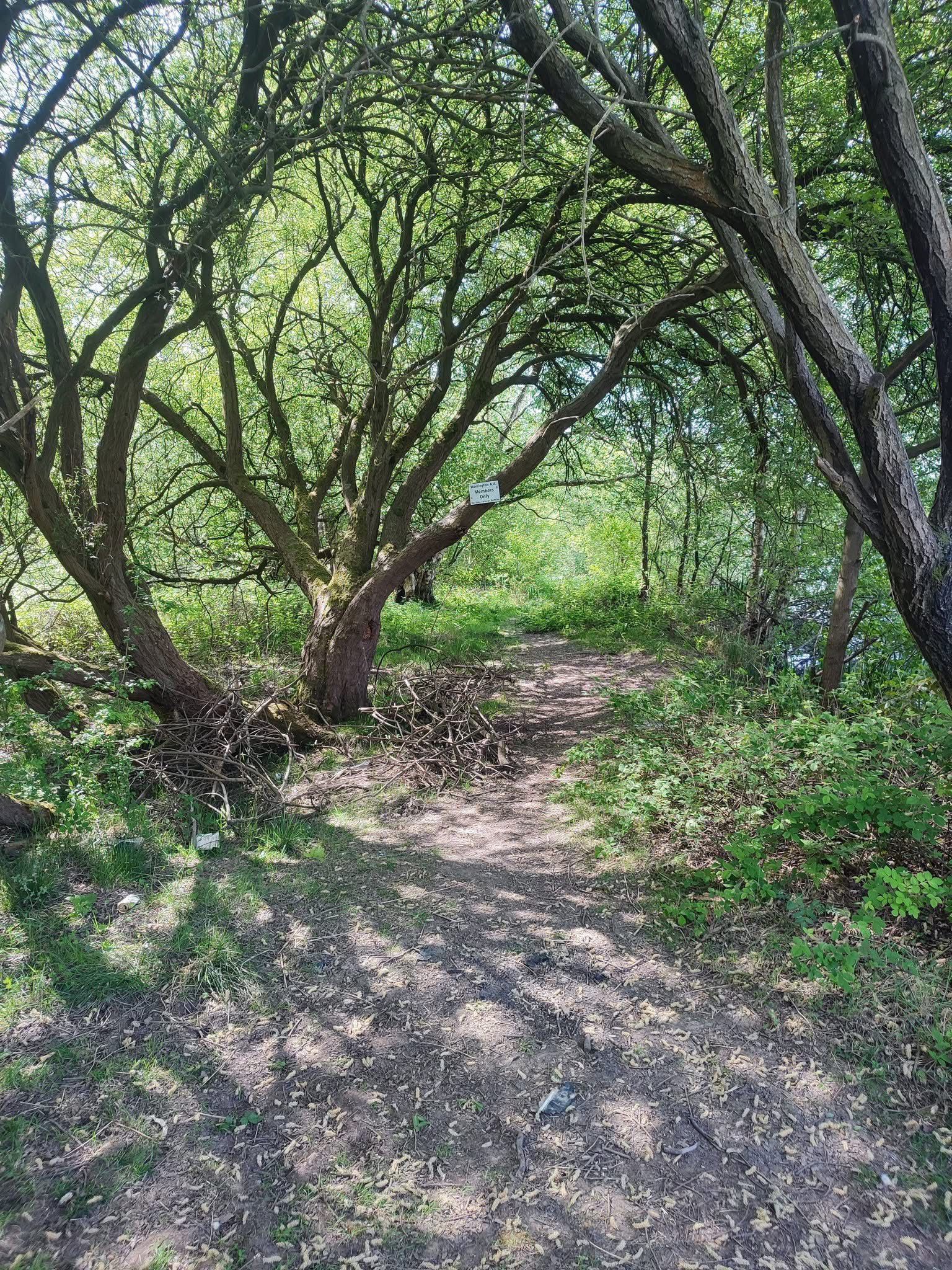  Wide Hole – Higher Poynton photo 3