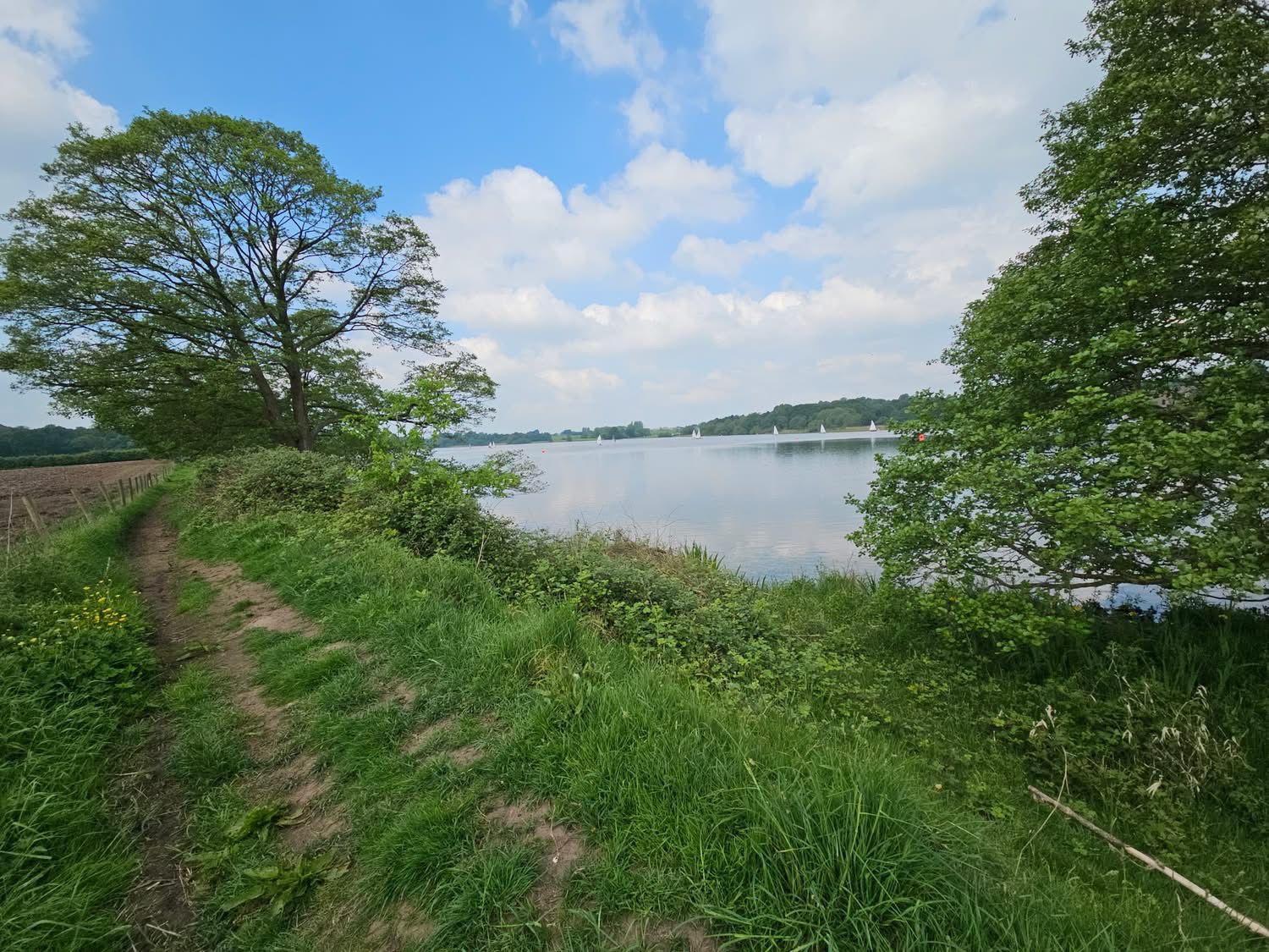 Budworth Mere photo 4