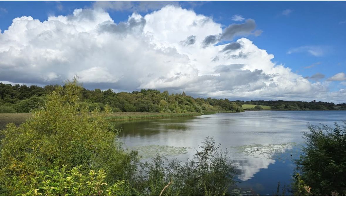 Budworth Mere photo 7