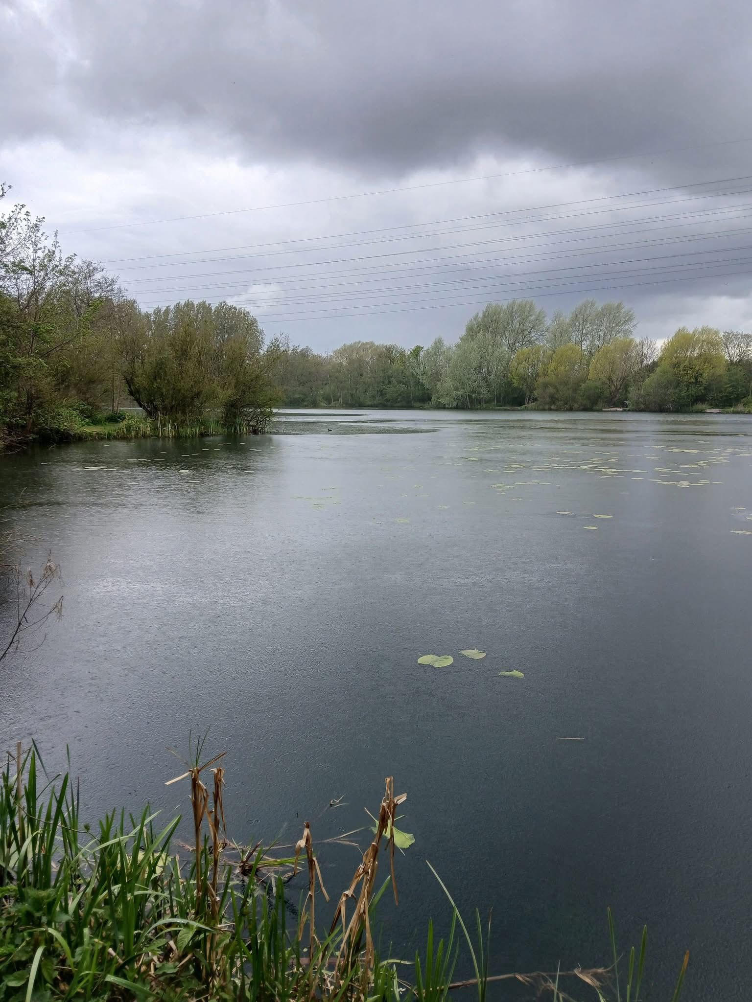 Grey Mist Mere photo 3