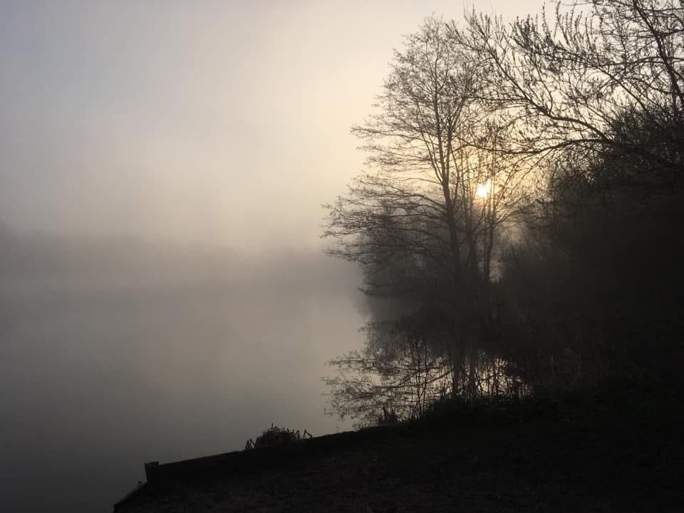 Grey Mist Mere photo 5