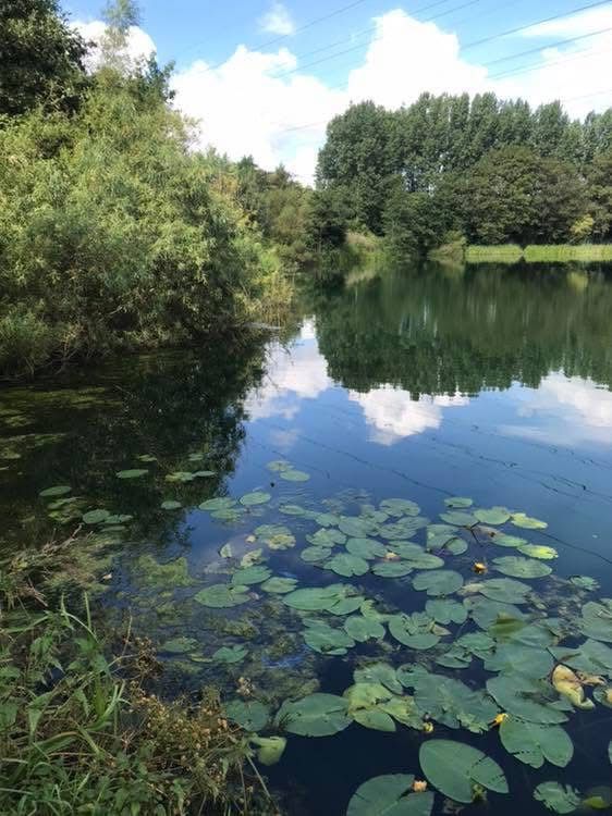 Grey Mist Mere photo 6