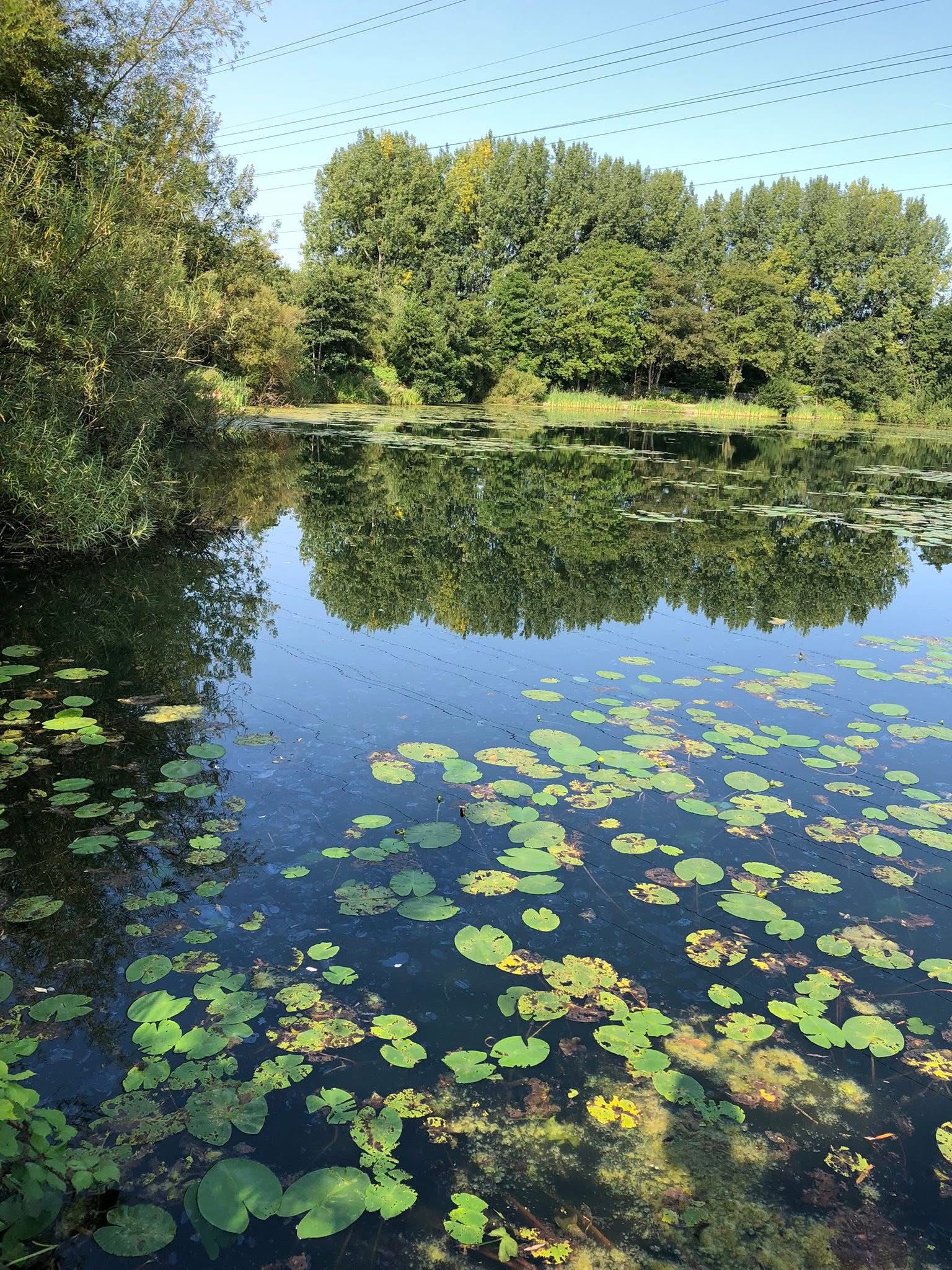 Grey Mist Mere photo 8