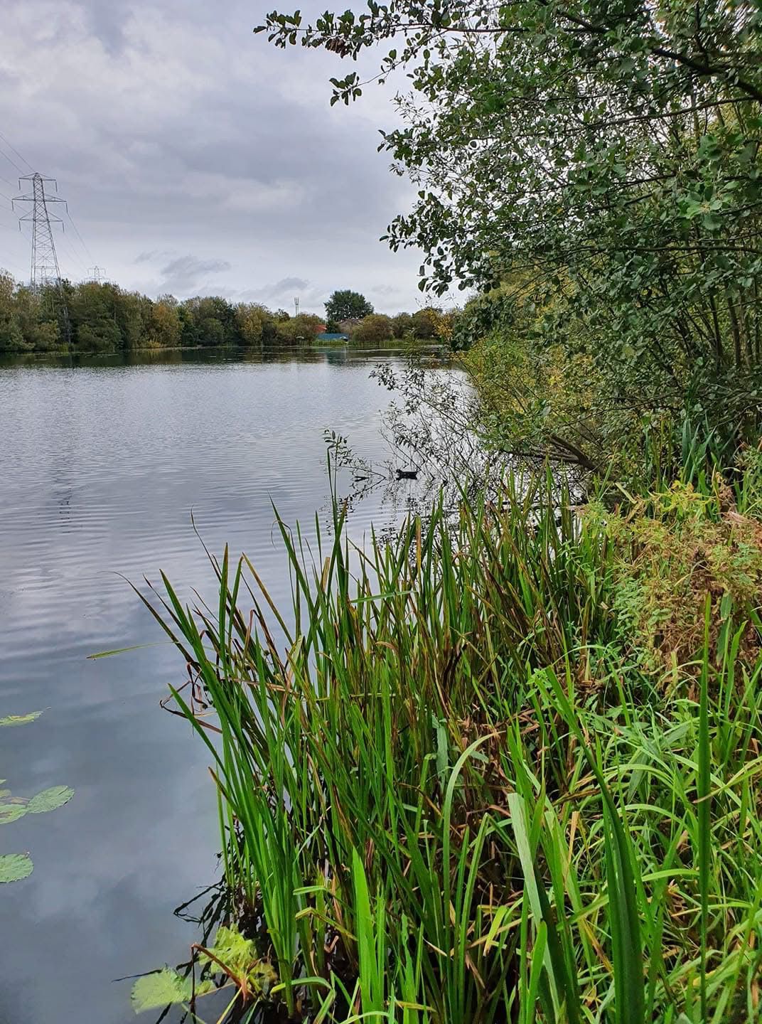 Grey Mist Mere photo 9