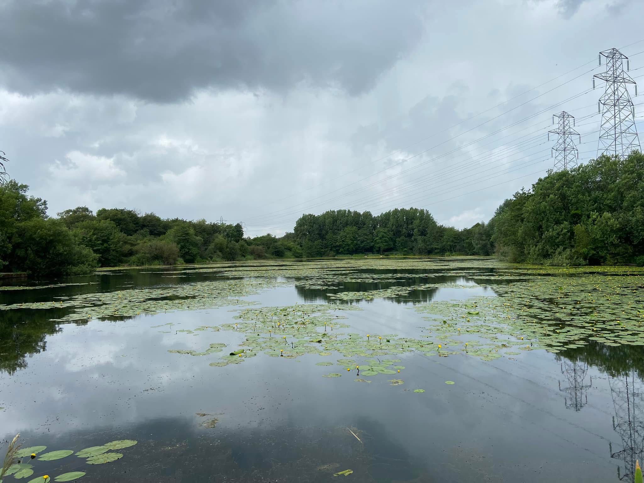 Grey Mist Mere photo 10