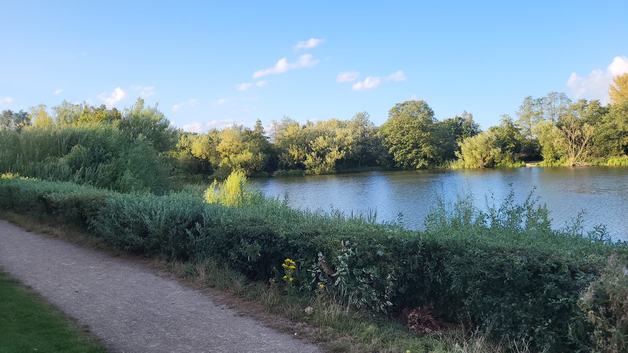 Phoenix Park Lake, Runcorn photo 3