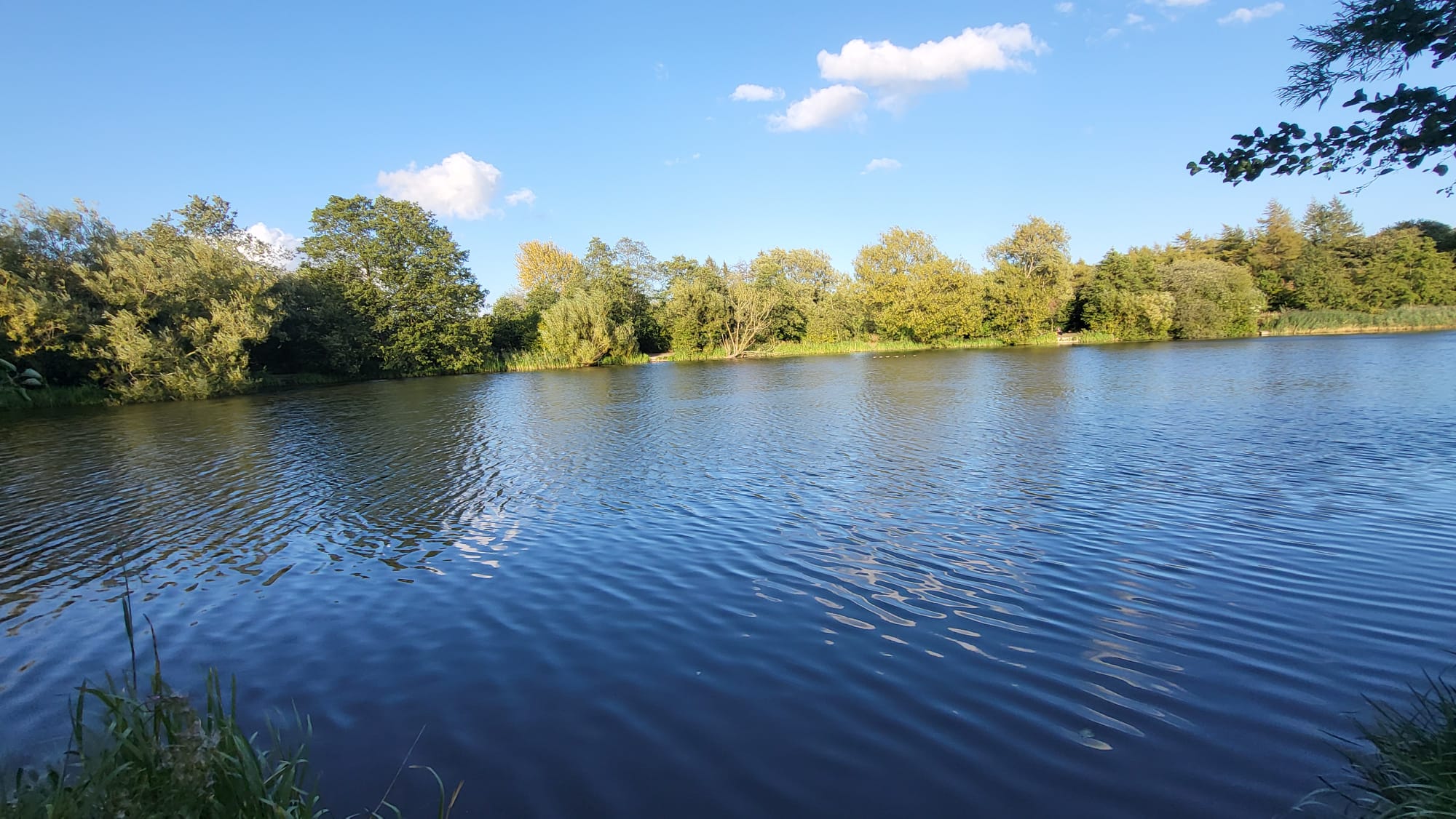 Phoenix Park Lake, Runcorn photo 4