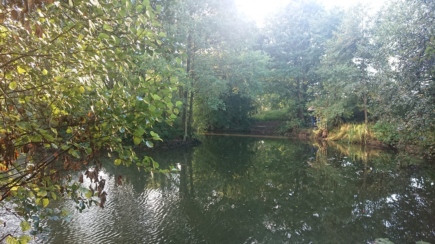  High Legh Fisheries photo 3